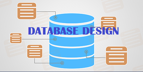 Database là gì Vai trò của cơ sở dữ liệu đối với các doanh nghiệp 40  A1  DigiHub